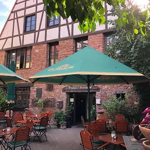 Weingärtner Mannheim